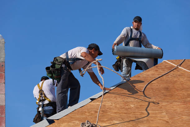 Best Roof Waterproofing Services  in Columbus Af, MS