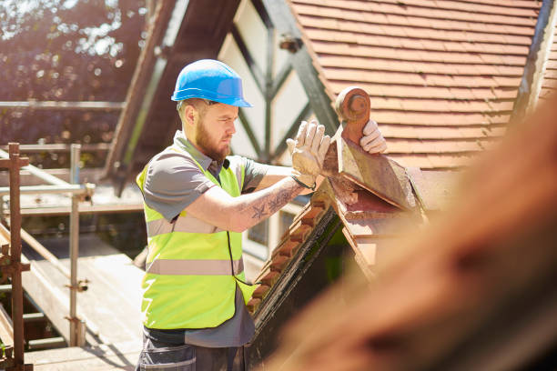 Best Metal Roofing Contractor  in Columbus Af, MS